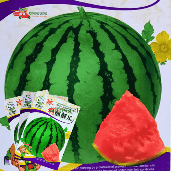 Seedless Kylin Watermelon
