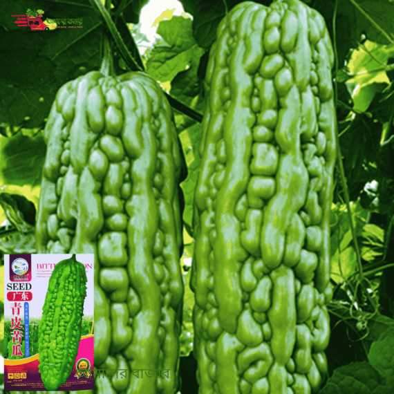 Long Green Skin Bitter Gourd