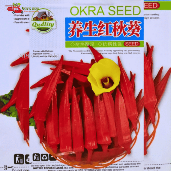 চায়নিজ Red Okra (লাল ঢেঁড়স)-(আনুমানিক ৫০+ বীজ) গাঢ় লাল রঙের সুস্বাদু এবং পুষ্টিকর। টেন্ডার টেক্সচার, দৃষ্টিনন্দন রং ও উচ্চ ফলন। - Image 2