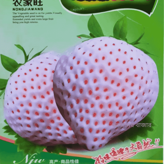 Cream White Strawberry - সাদা স্ট্রবেরি (প্রায় 200+ বীজ) ফলের রঙ সাদা, গায়ে লাল বীজ দানা দেখতে অত্যন্ত আকর্ষণীয়। স্বাদে মিষ্টি ও হালকা টক-মিশ্রিত। উচ্চ বাজারমূল্য সাদা স্ট্রবেরি। - Image 2