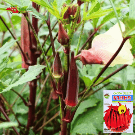 Red Okra