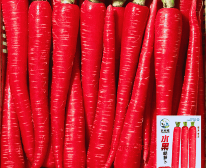 Fruit Carrot