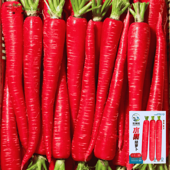 Fruit Carrot