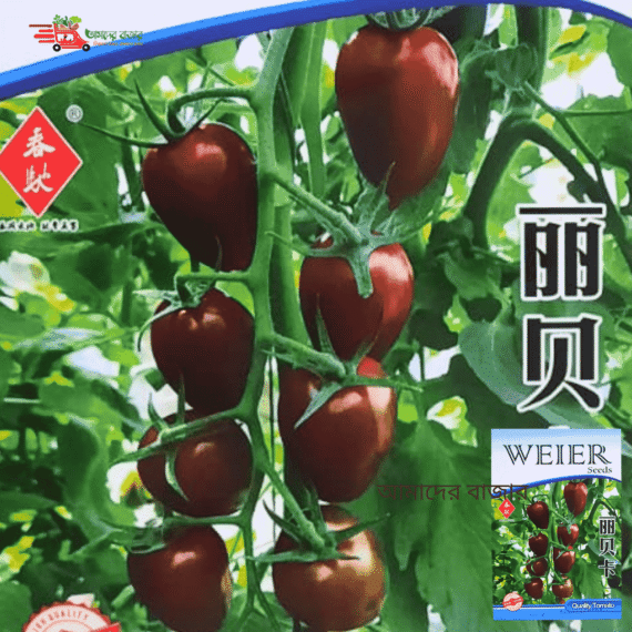 Black Plum Heirloom