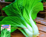 চায়নিজ শাংহাই বাটি শাক