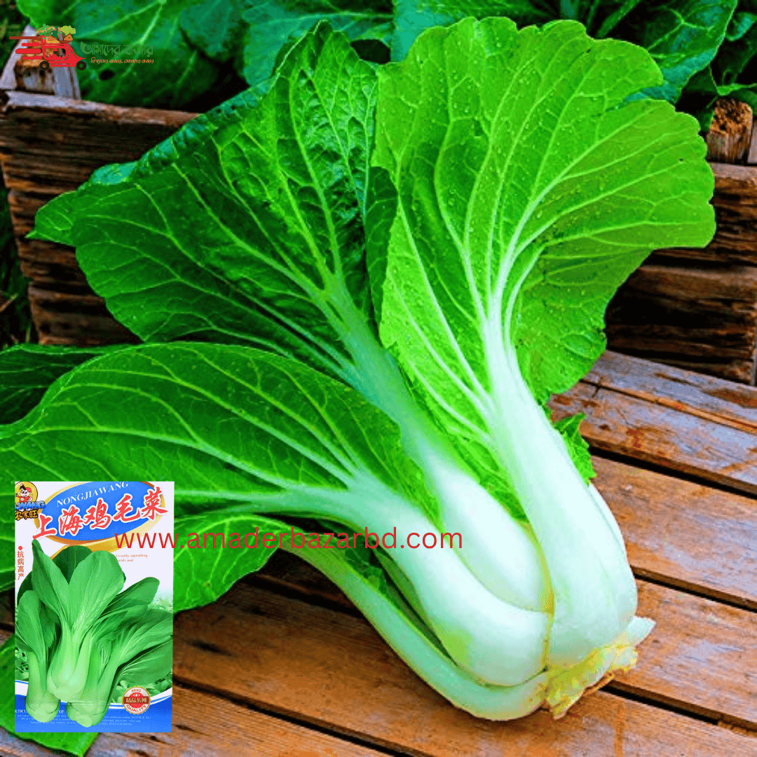 চায়নিজ শাংহাই বাটি শাক