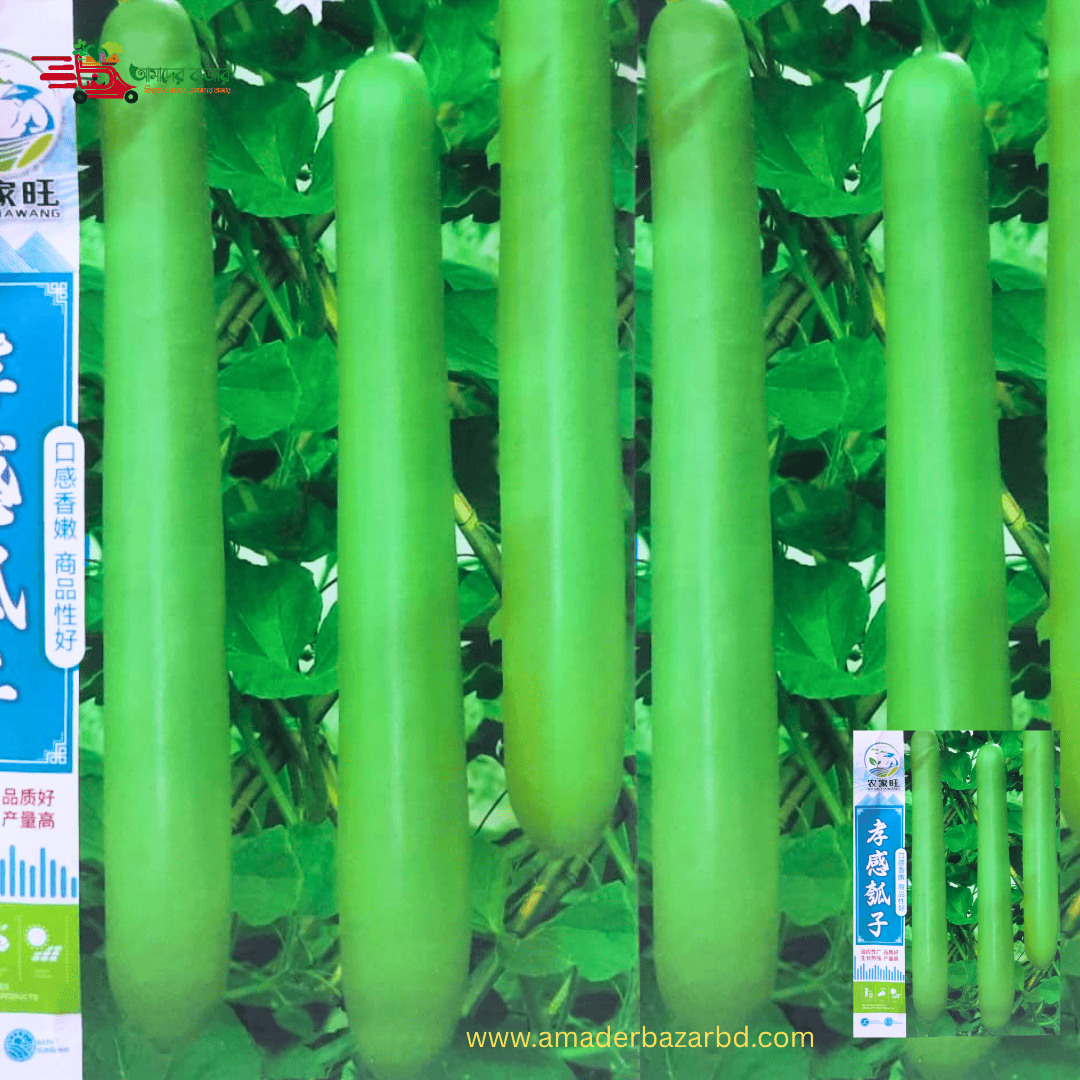 চীনা হাইব্রিড লম্বা লাউ