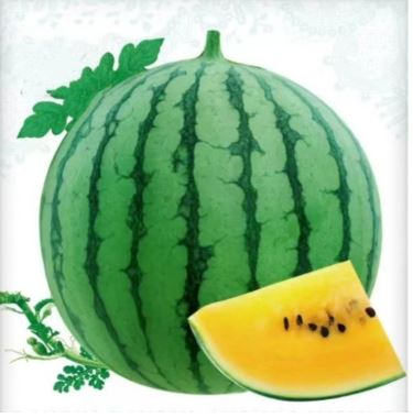 আমদানিকৃত Yellow-Flesh Watermelon - হলুদ শাঁসের তরমুজ (প্রায় ২০-২৫ বীজ) খোসা: সবুজ রঙের উপর কালচে ডোরা (striped green rind) । শাঁস: উজ্জ্বল হলুদ/গোল্ডেন ইয়েলো, রসালো ও মিষ্টি। ফল ছোট–মাঝারি সাইজের গোল/ওভাল দেখতে আকর্ষণীয়, স্বাদে খুব মিষ্টি ও রসালো—যার কারণে এটি প্রিমিয়াম বাজারে বিশেষভাবে জনপ্রিয়। - Image 2