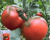 Strawberry Fruit Tomato