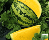 Yellow Pulp Small Watermelon