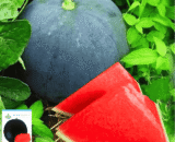 Black Watermelon