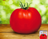 Thai Hybrid Red Tomato