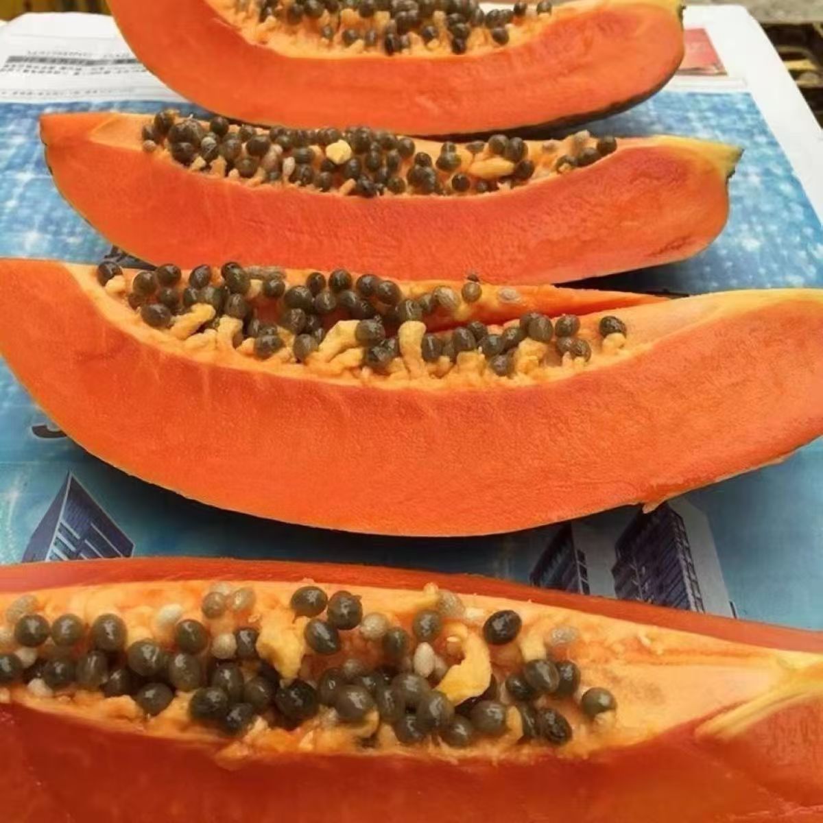ইমপোর্টকৃত Golden Butter Big Papaya - (প্রায় ৫০ বীজ) - Image 4