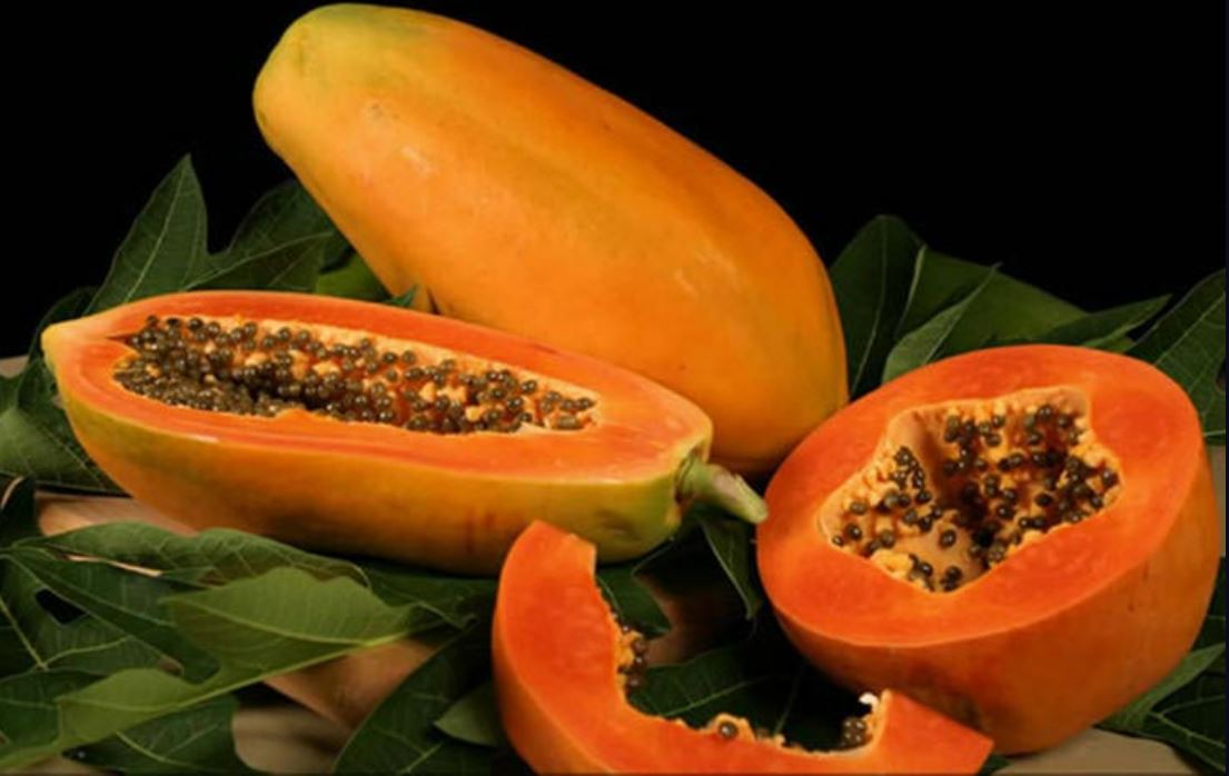 ইমপোর্টকৃত Golden Butter Big Papaya - (প্রায় ৫০ বীজ) - Image 5