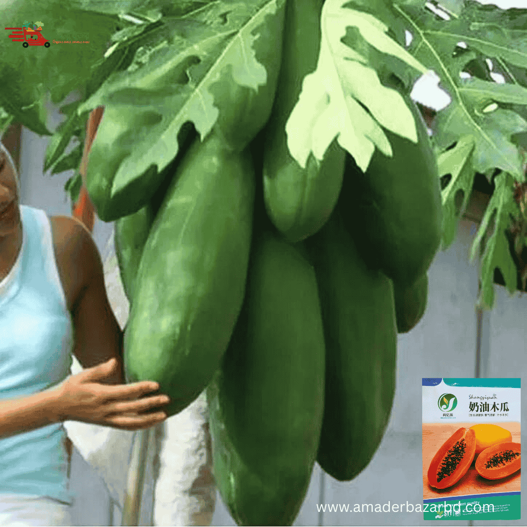 Golden Butter Big Papaya