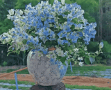 Starry Night Sky Bougainvillea