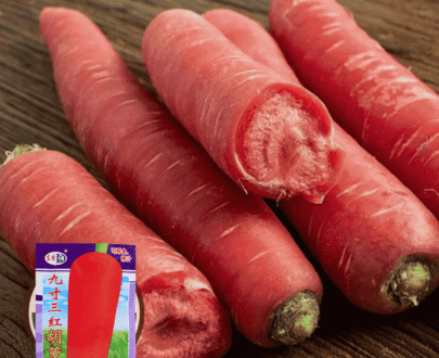 Thai Nine-Inch Red Carrot