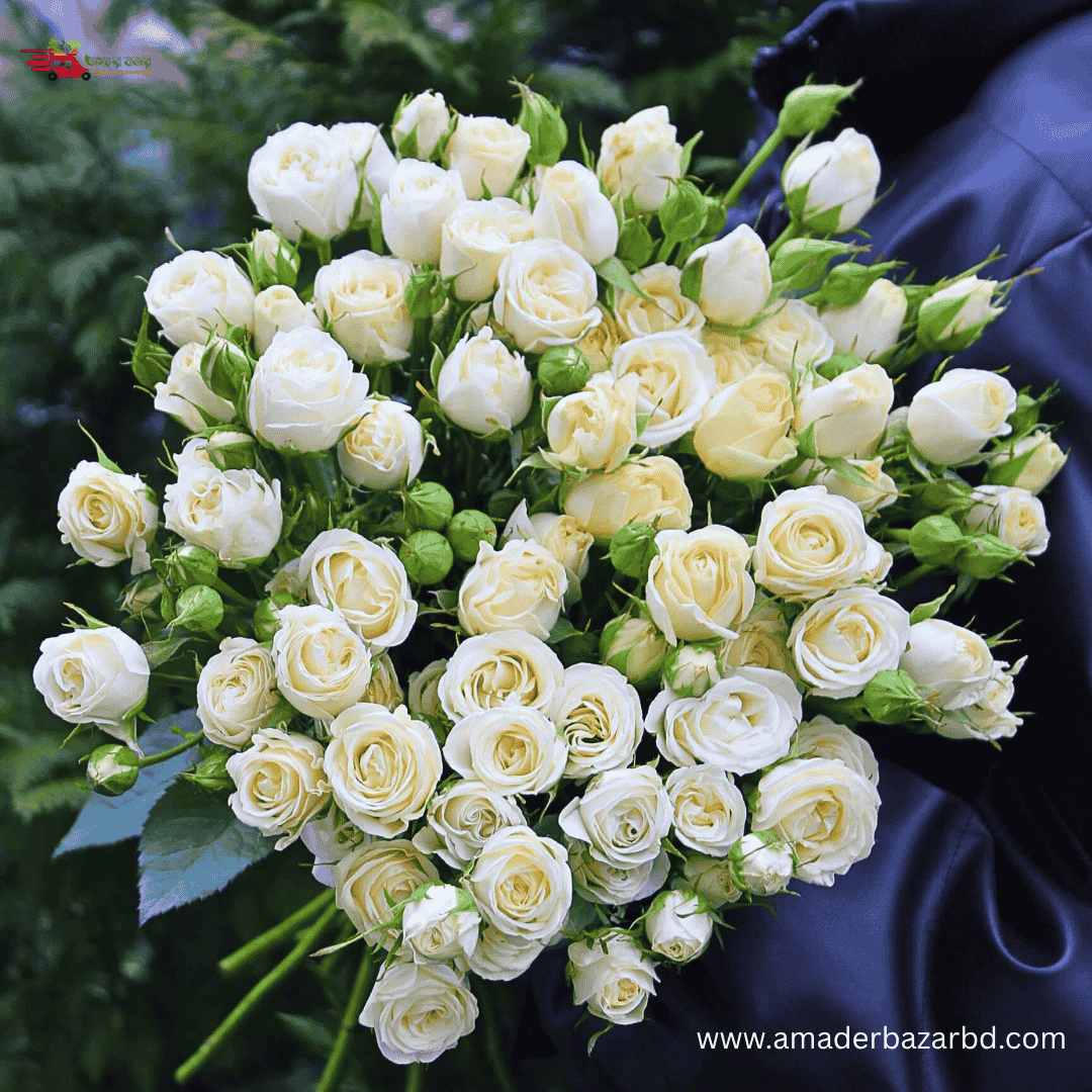 USA White Spray Rose